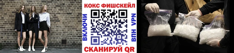 OMG вход  купить закладку  Пенза  Cocaine Fish Scale 