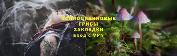кокс Алексеевка